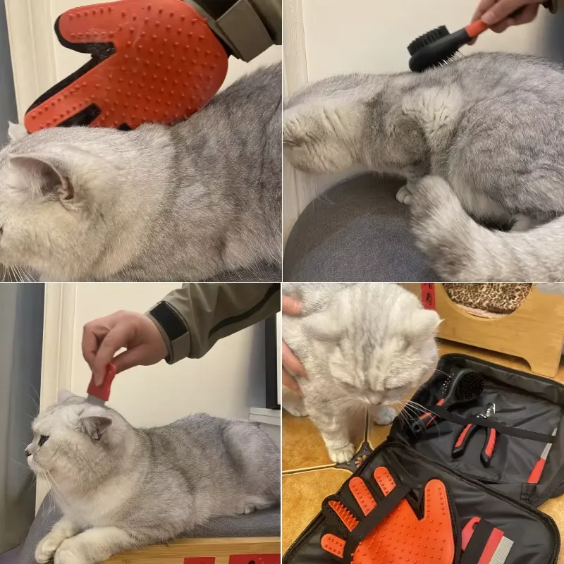 Perlengkapan Perawatan Anjing  - Hair Care Logo ulasan dan harga