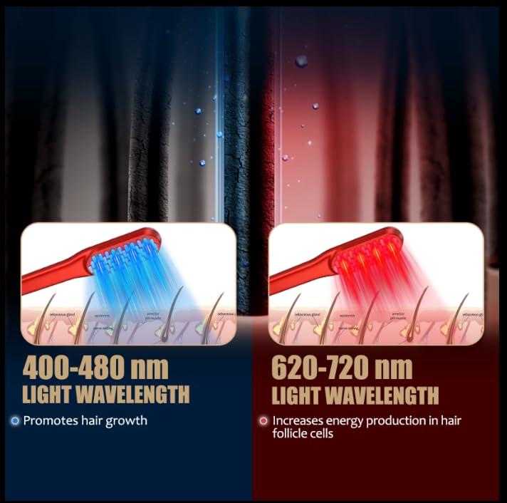 Sisir Penumbuh Rambut Laser, P - Hair Care Nutrition ulasan dan harga